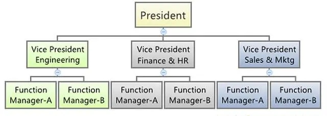 Functional_organization